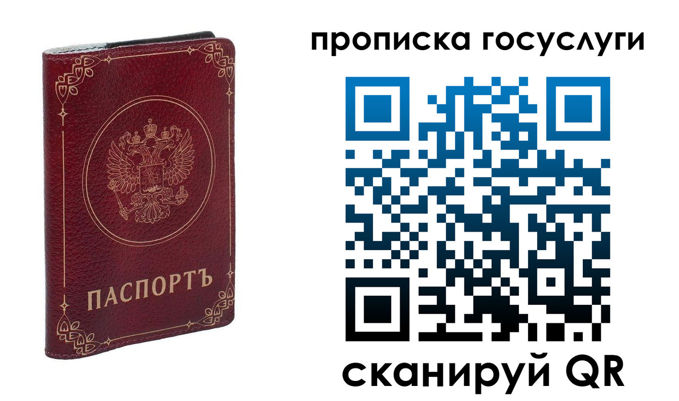 прописка в Ковдоре